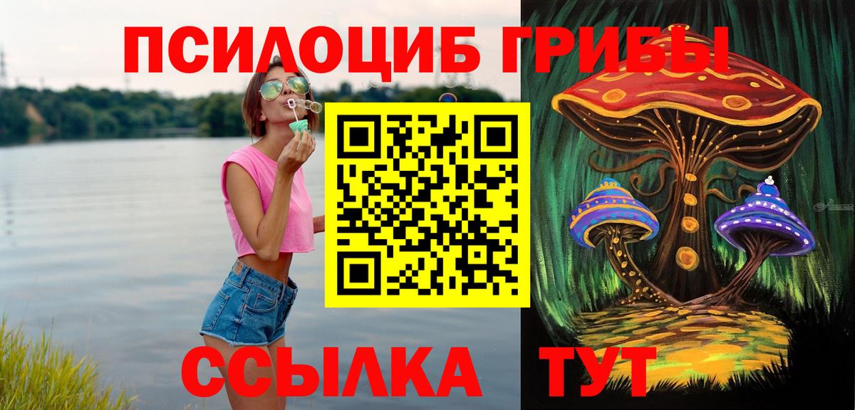Дмитров  Галлюциногенные грибы Cubensis  Вход с VPN 