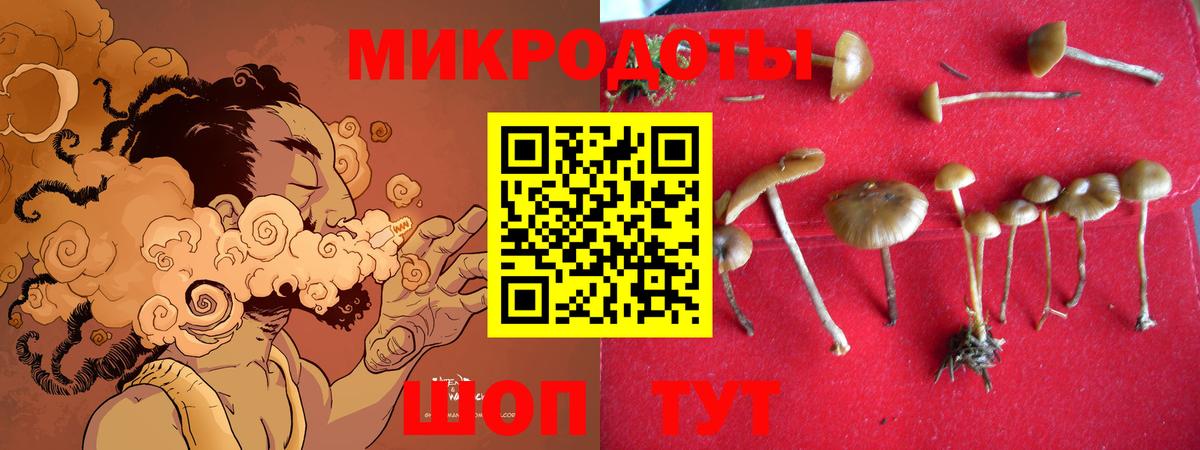 Галлюциногенные грибы MAGIC MUSHROOMS Дмитров